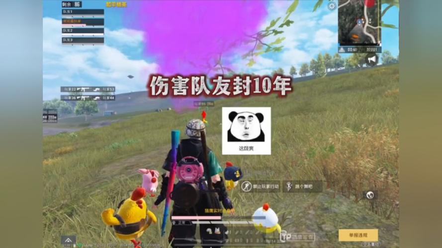 和平精英【XO内核】辅助